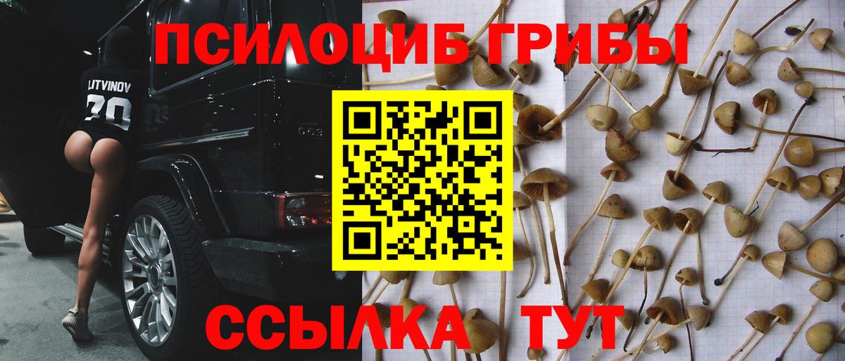 Псилоцибиновые грибы Cubensis Хабаровск